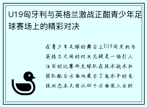 U19匈牙利与英格兰激战正酣青少年足球赛场上的精彩对决